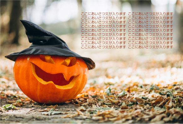 �ϥ������󤫤ܤ���