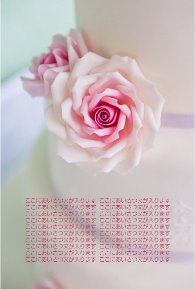 �����ǥ��󥰥�����