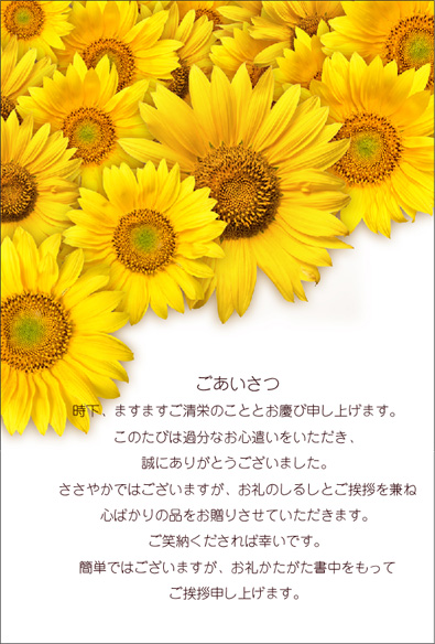 ��������ΤҤޤ��