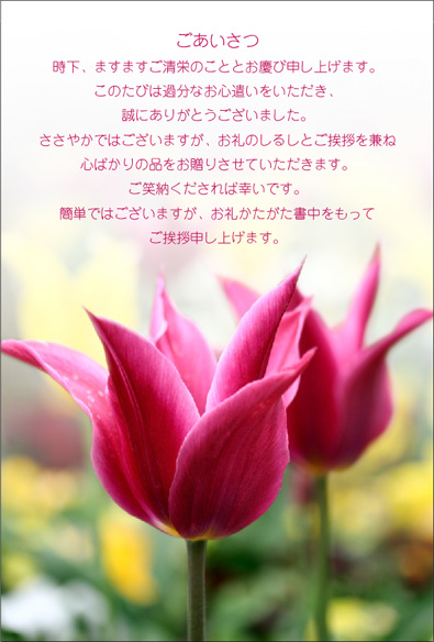 ��Υ��塼��å�