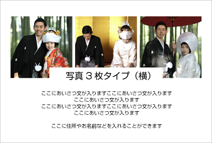 �̿����祿���סʲ���